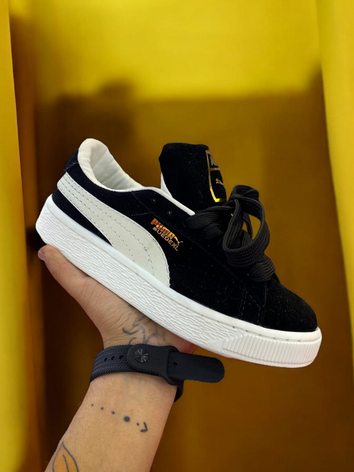 Puma seude