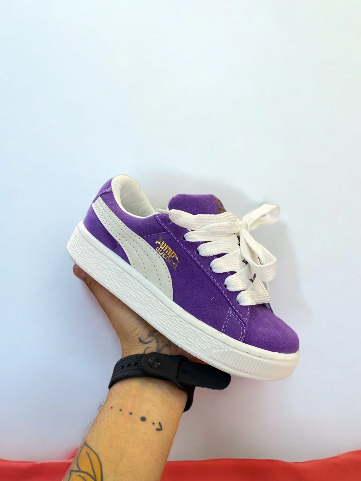 Puma seude